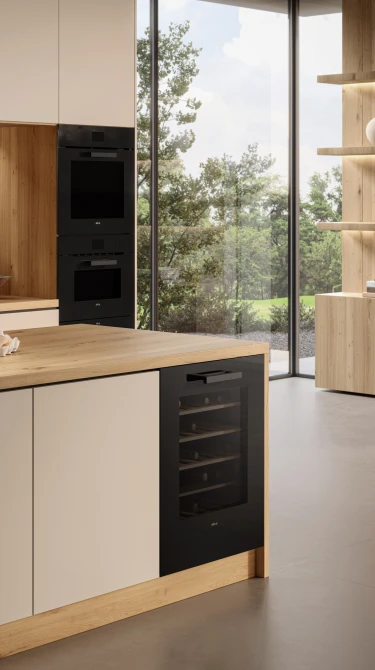 How to set the correct temperature in your wine cooler according to the type of wine article detail